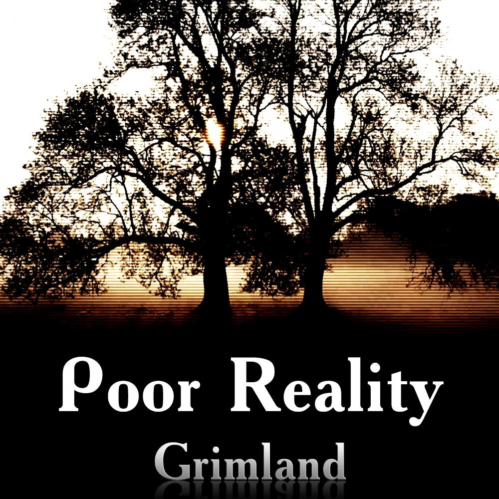 Постер альбома Poor Reality
