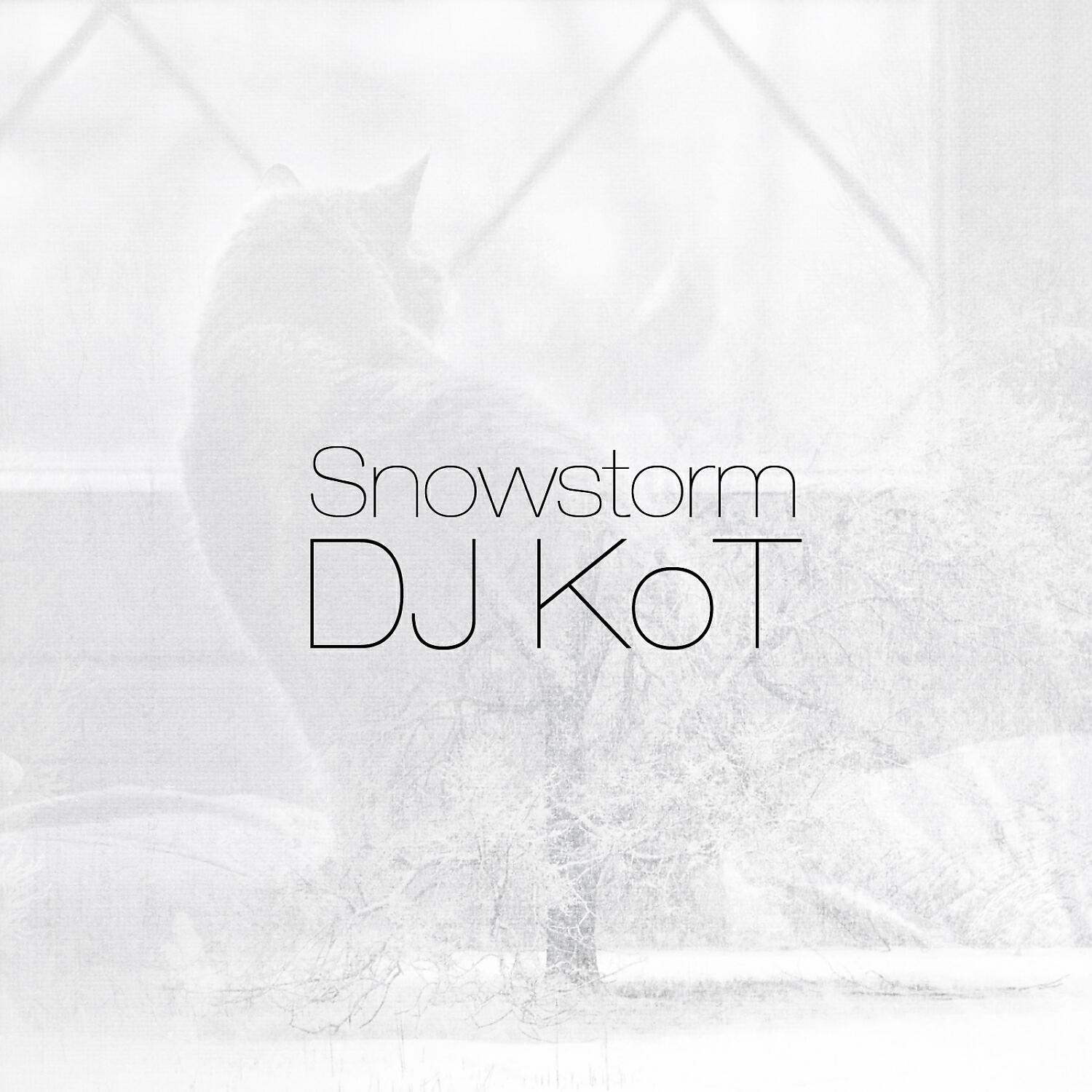 DJ KoT - Snowstorm (Original Mix)