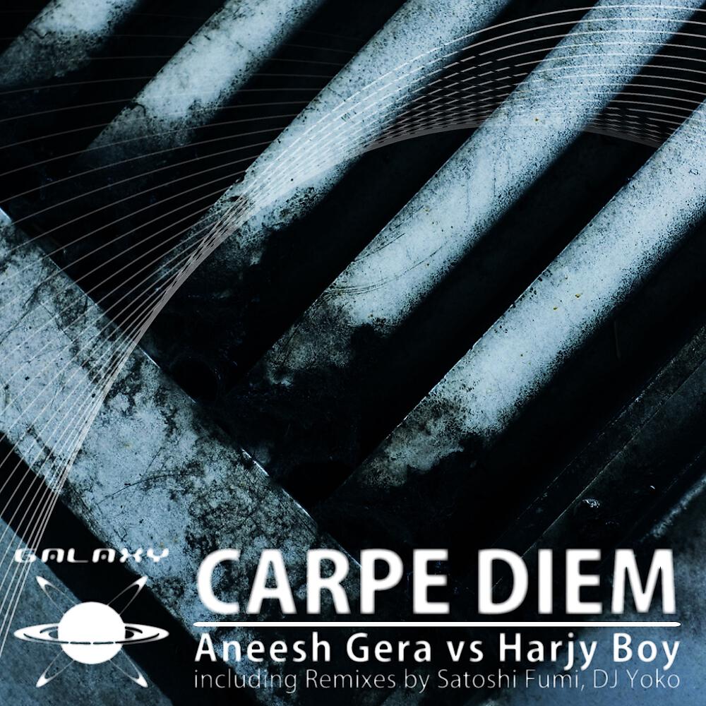 Aneesh Gera - Carpe Diem (DJ Yoko Remix)