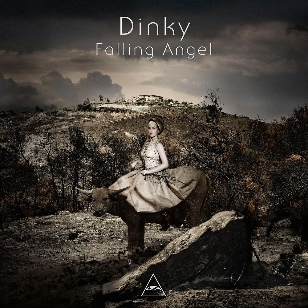 Постер альбома Falling Angel