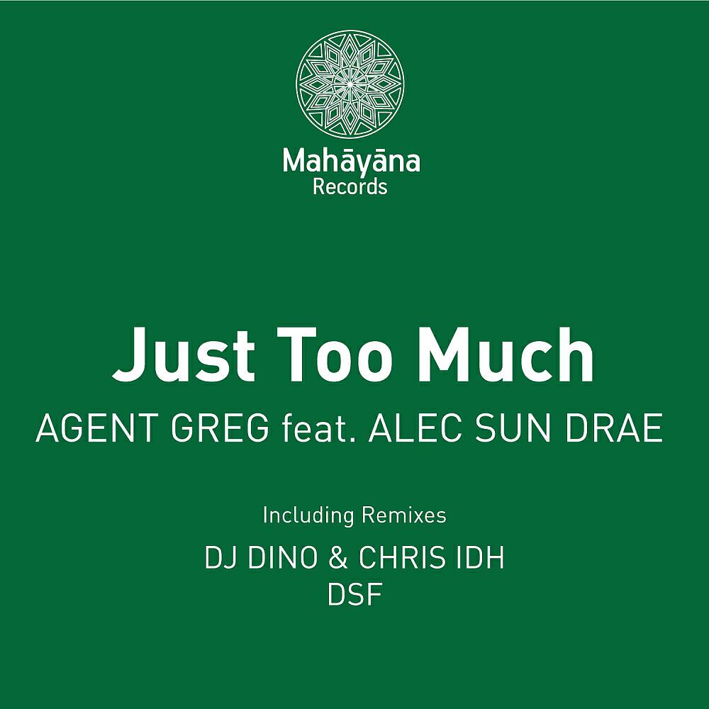 Agent Greg - Just Too Much (DSF Remix)