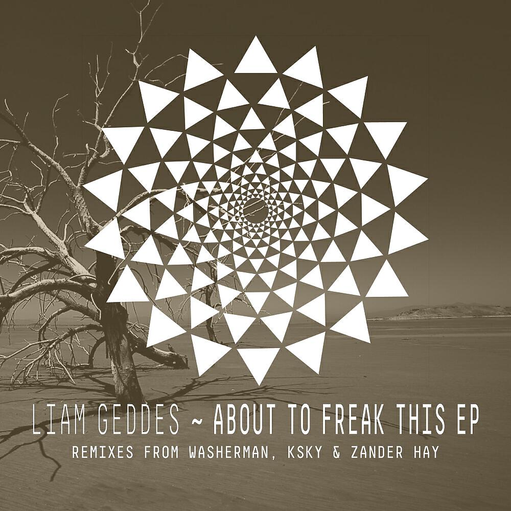 Liam Geddes - About To Freak This (Washerman Remix)