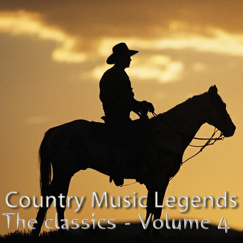 W.M.Stepp - Bonaparte's Retreate