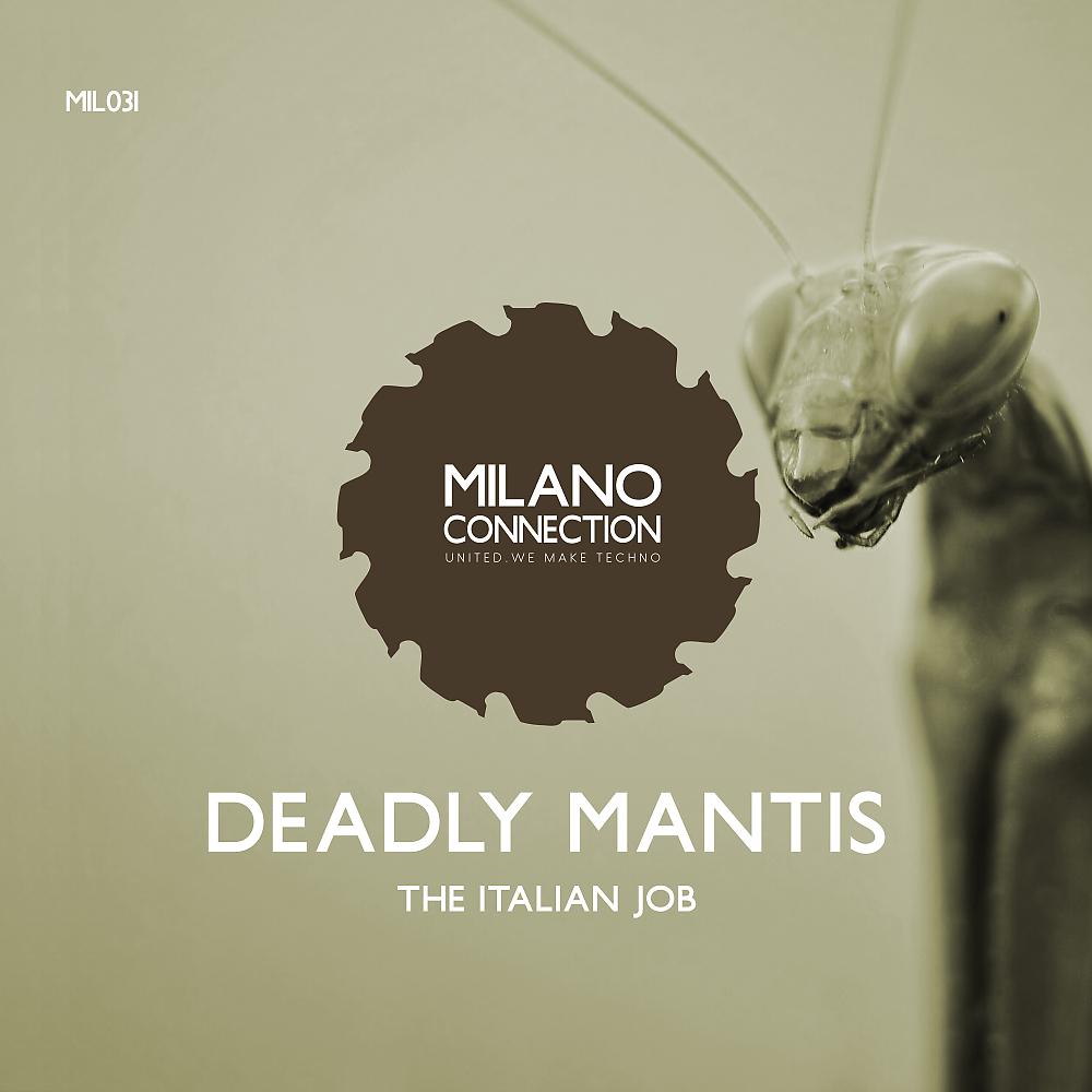 Постер альбома Deadly Mantis