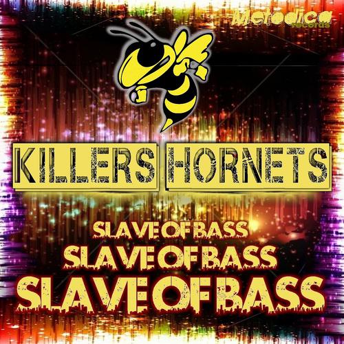 Постер альбома Slave of Bass