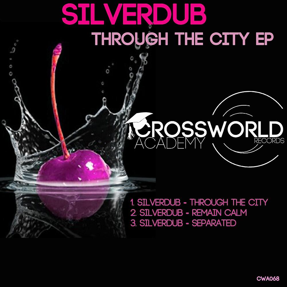 Silverdub - Separated