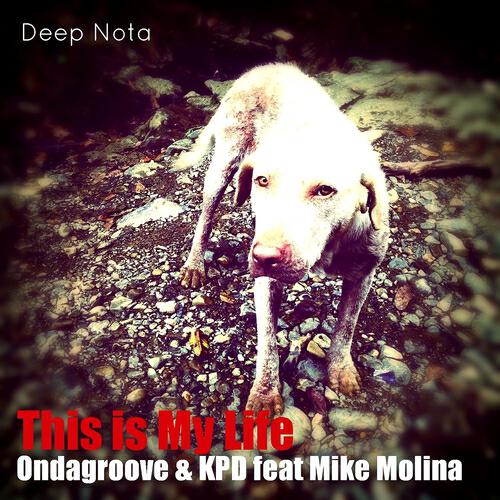 Ondagroove - This Is My Life (Original Mix)