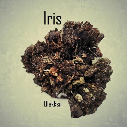Olekksii - Eternal Glory