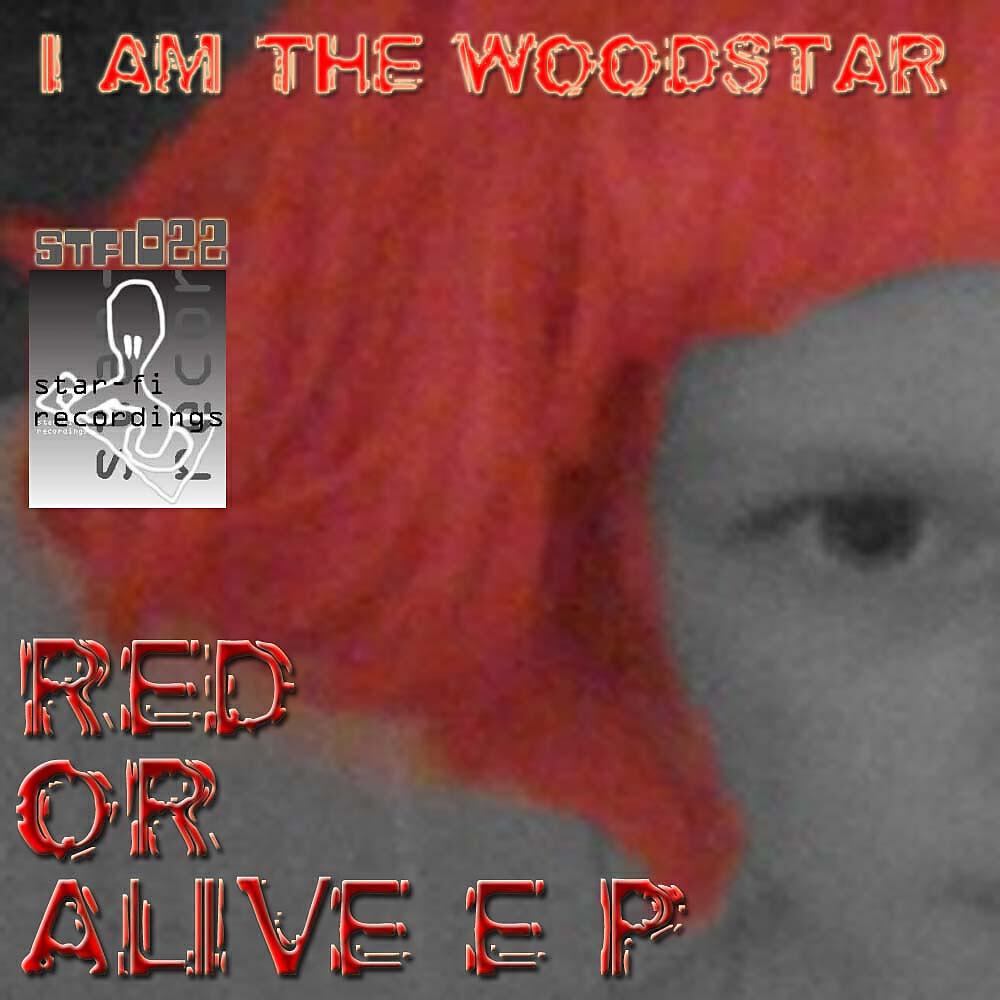 I Am The Woodstar - Raw When In Rome (Lord Don't Slow Me Down Mix)