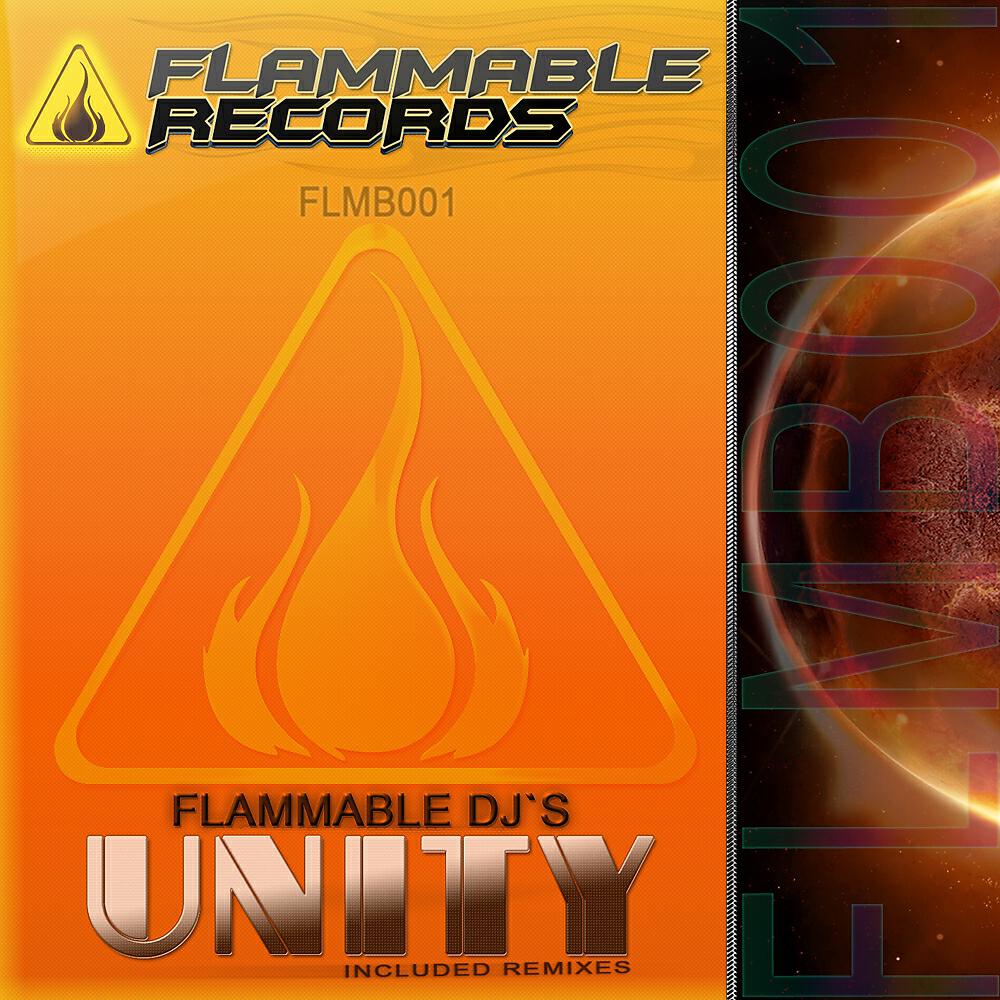 Flammable DJ's - Unity (Diablik Remix)