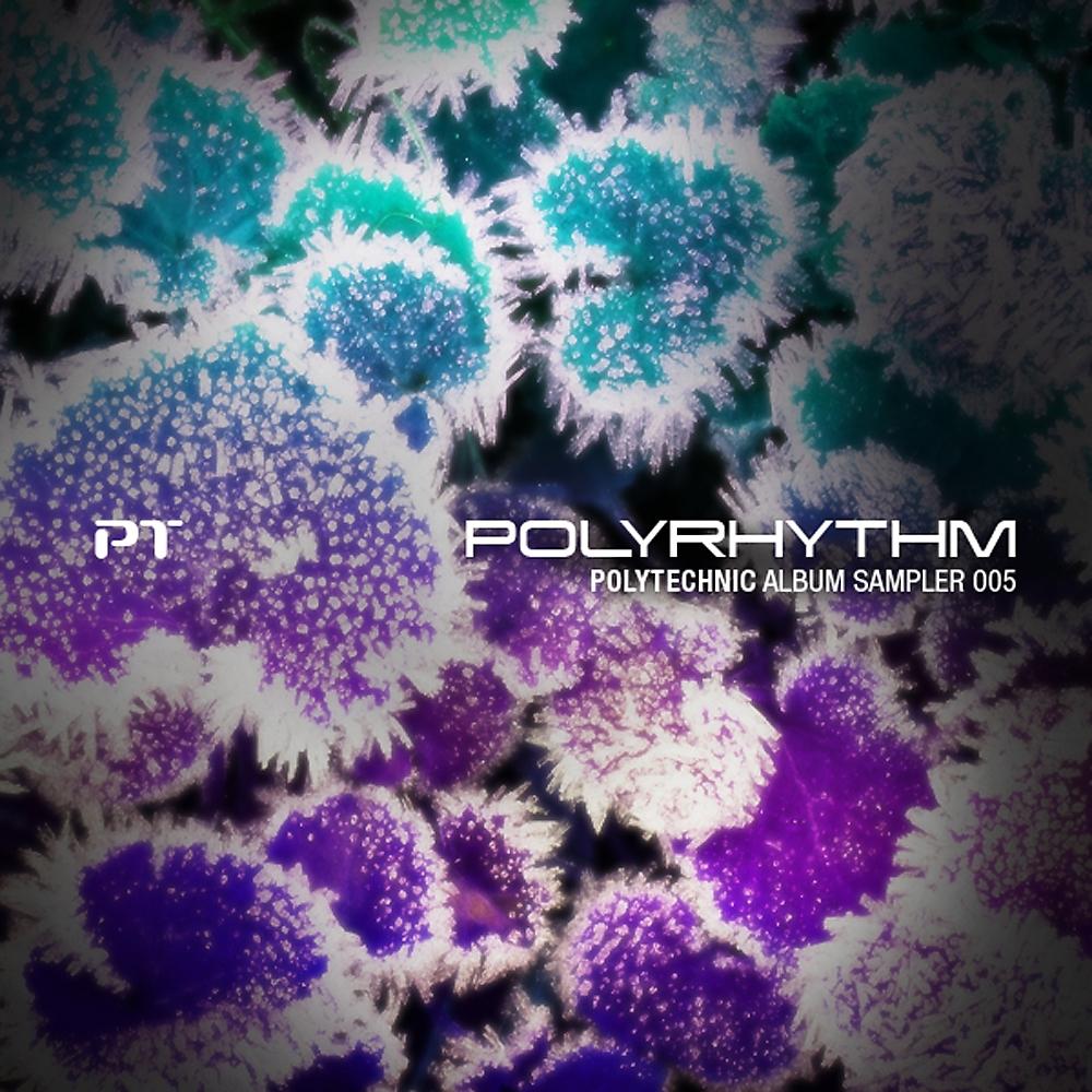 Постер альбома Polyrhythm - Polytechnic Album Sampler 005
