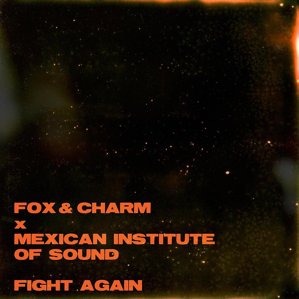 Постер альбома Fight Again