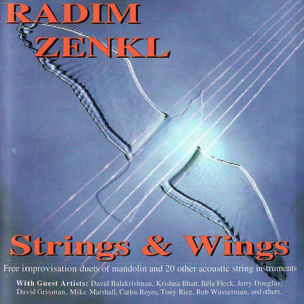 Radim Zenkl - Up And Down The New Land
