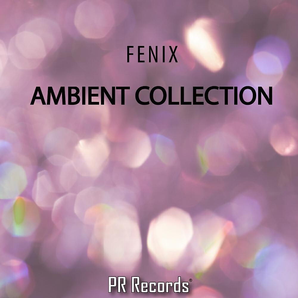 FENIX - A Whirl In A Pool