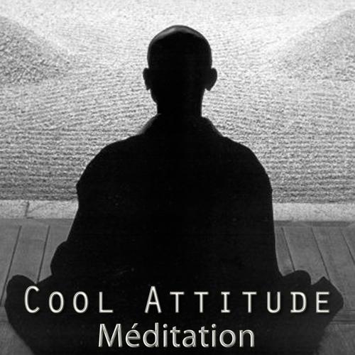 Постер альбома Cool Attitude: Méditation