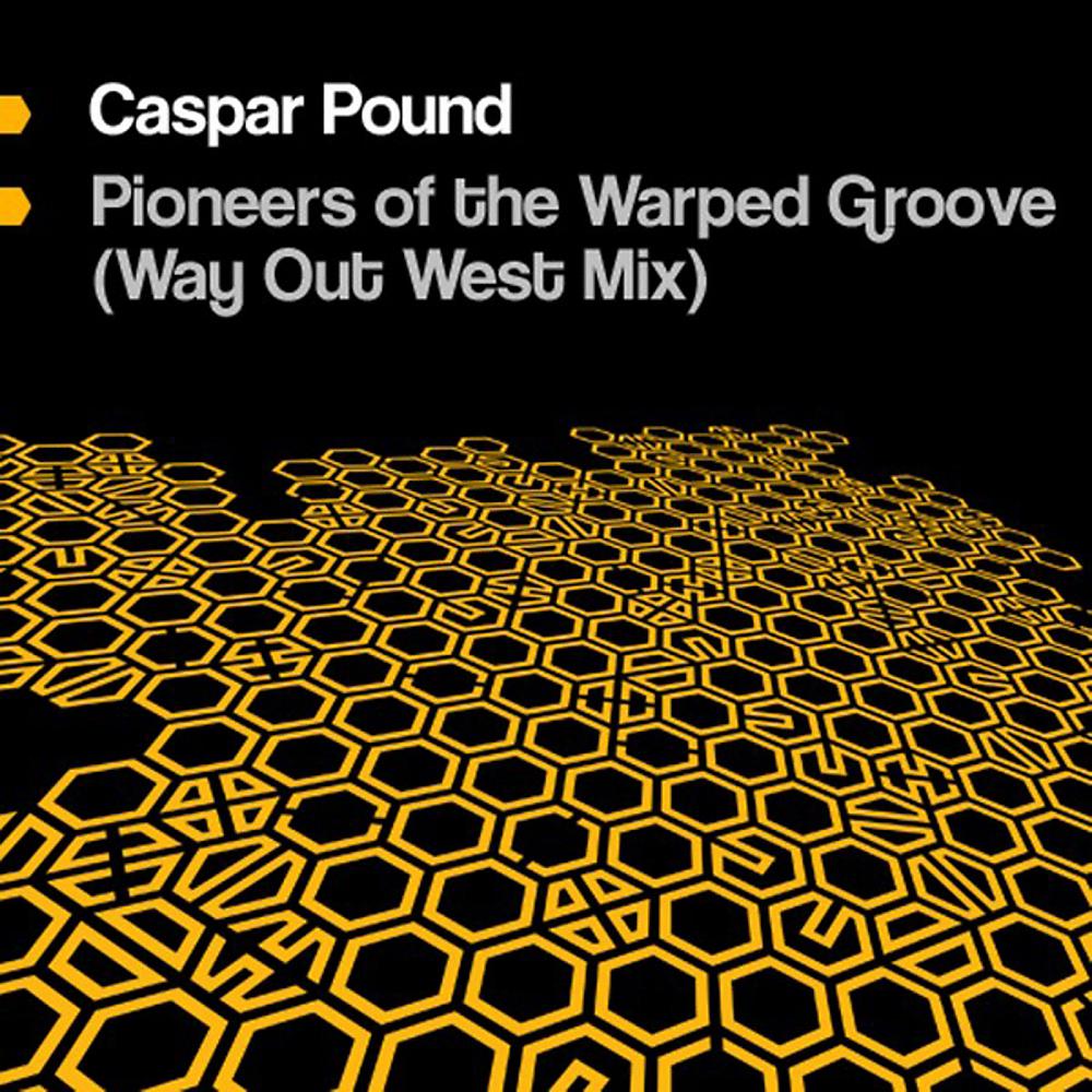 Постер альбома Pioneers Of The Warped Groove