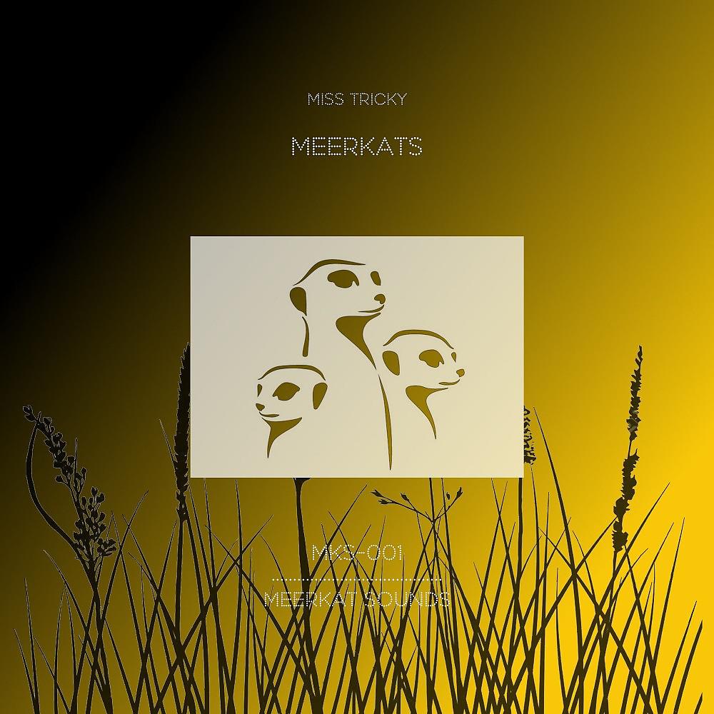 Постер альбома Meerkats