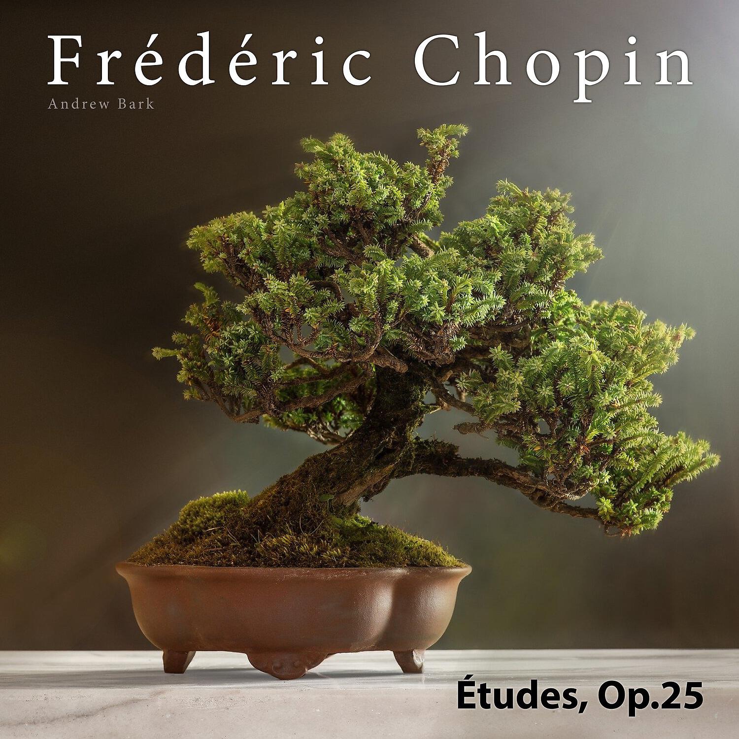 Andrew Bark - Études, Op.25: 9. Etude in G Flat Major 'Butterfly'