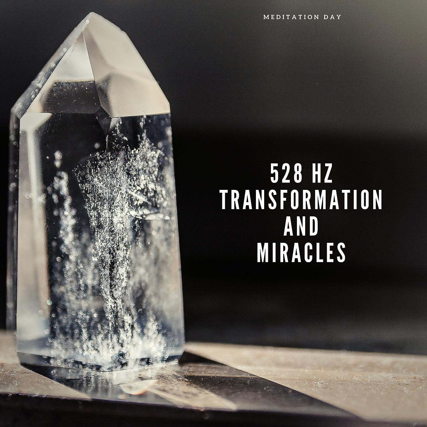 Постер альбома 528 Hz Transformation and Miracles
