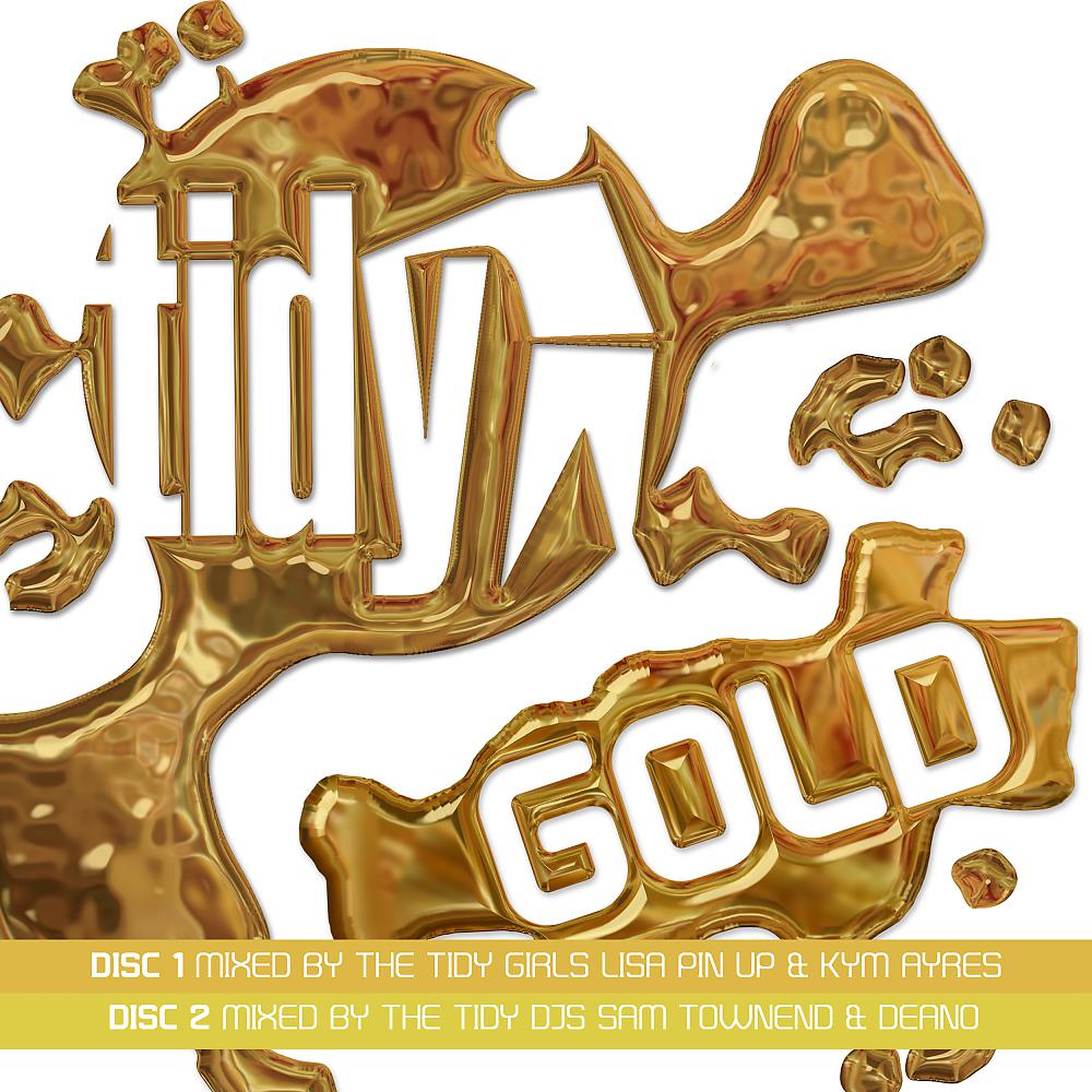 Постер альбома Tidy Gold