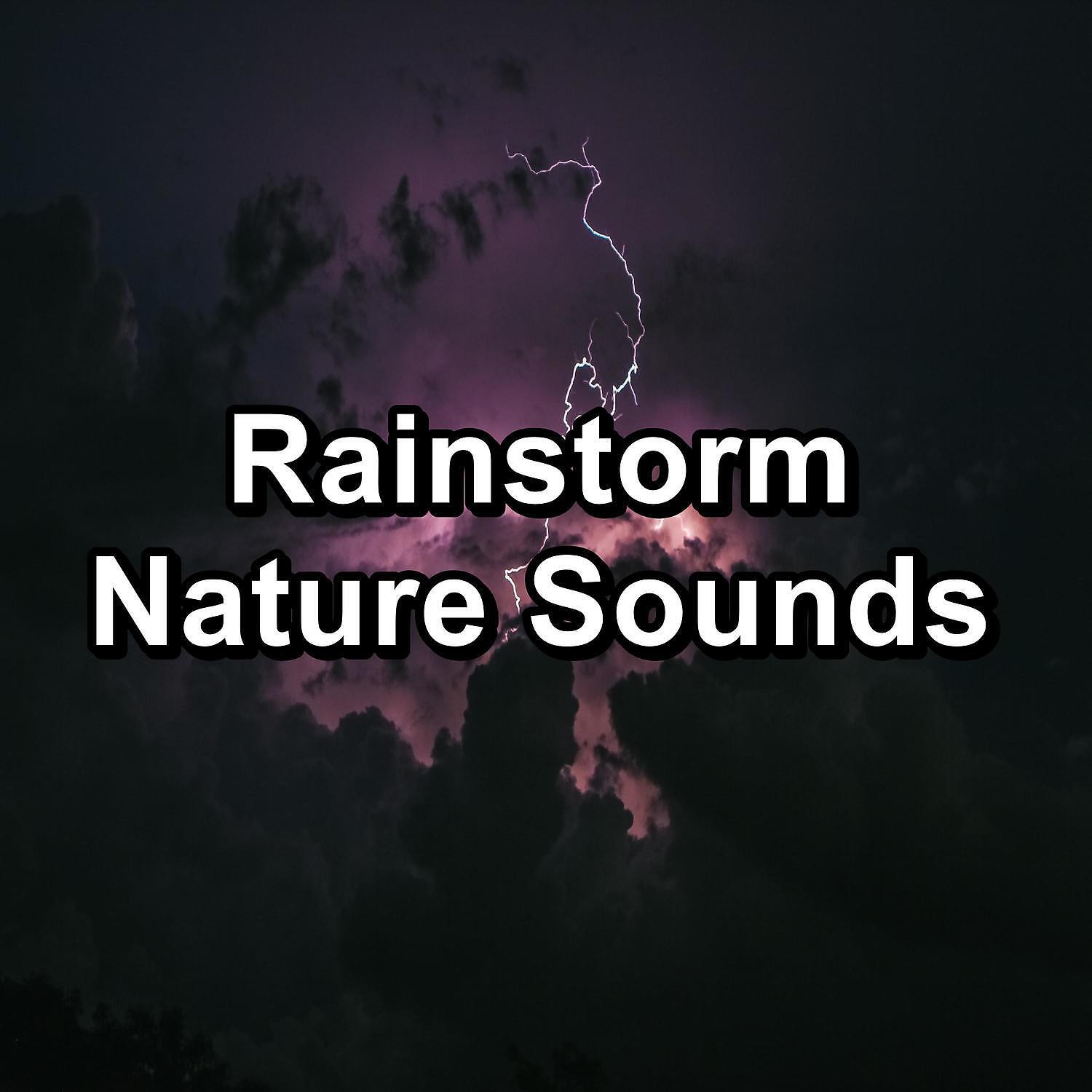White Noise Baby Sleep - Rain Sounds on a Tin Roof To Relax and Loop for 8 Hours