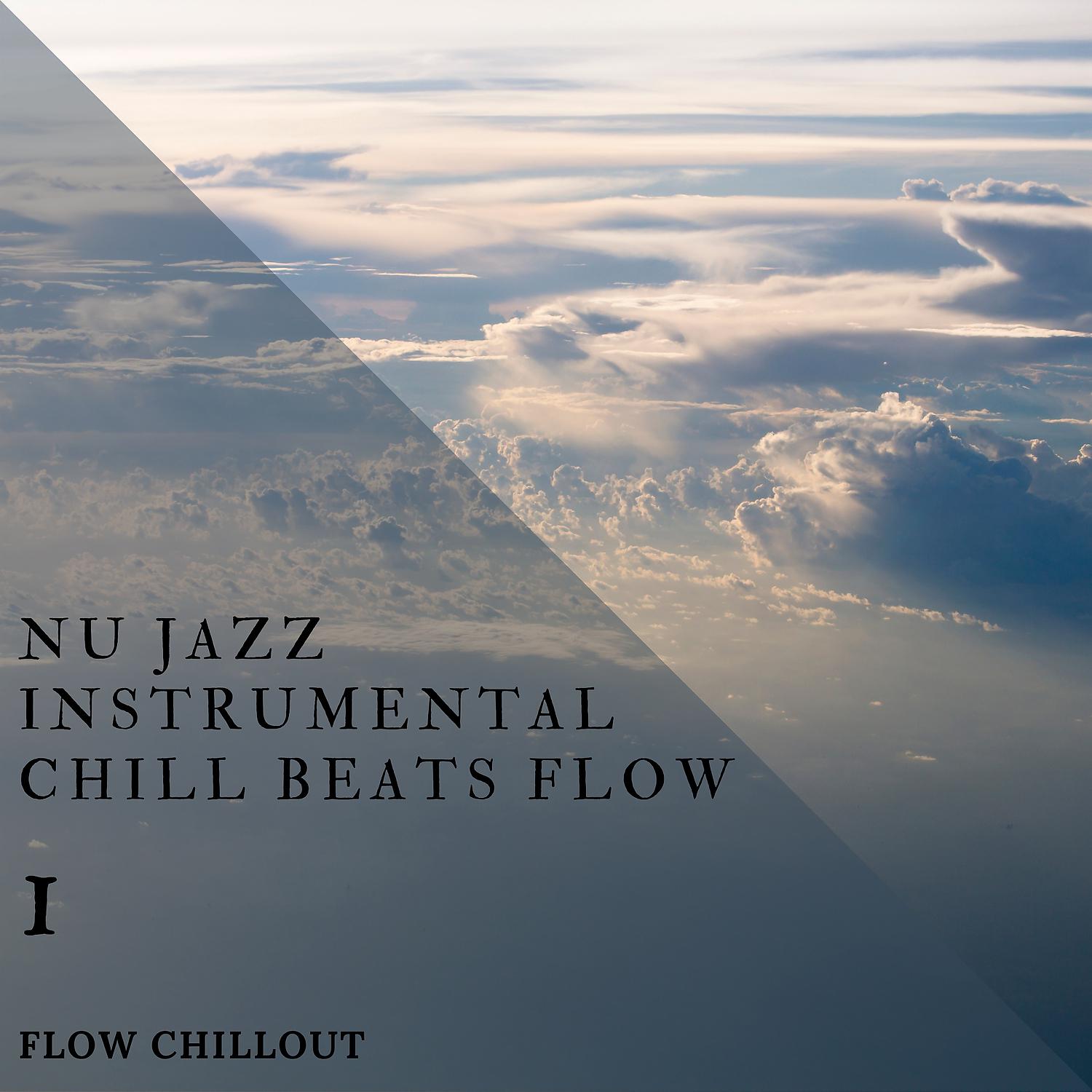 Постер альбома Nu Jazz Instrumental Chill Beats Flow 1