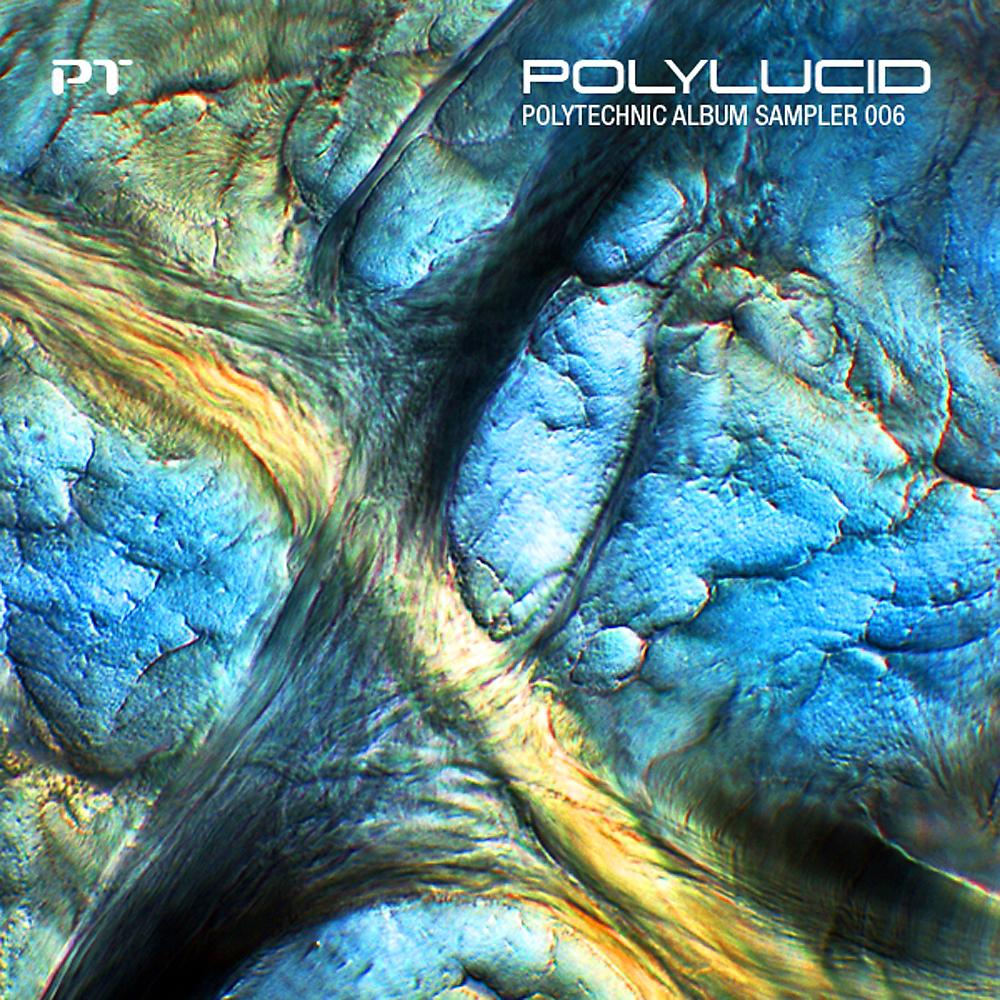 Постер альбома Polylucid - Polytechnic Album Sampler 006