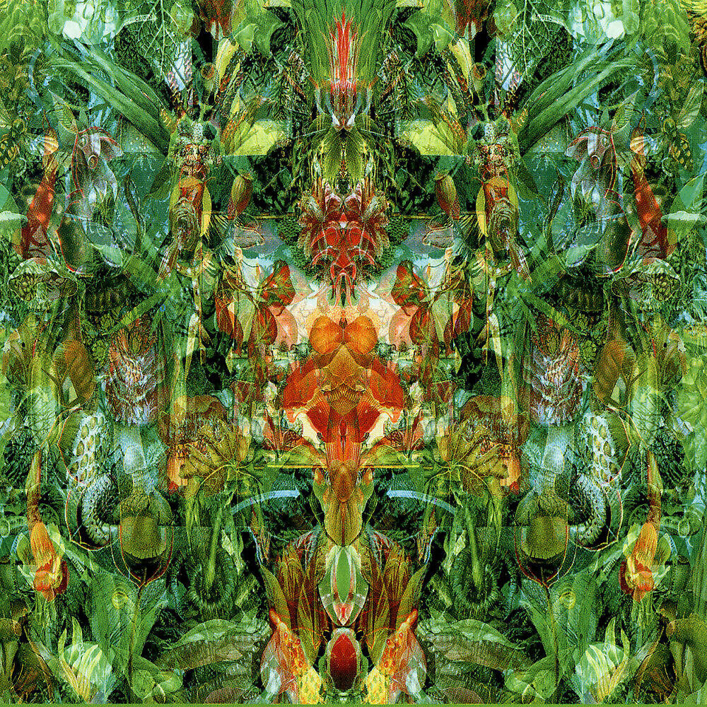 Bill Laswell - The Wayfaring Stranger