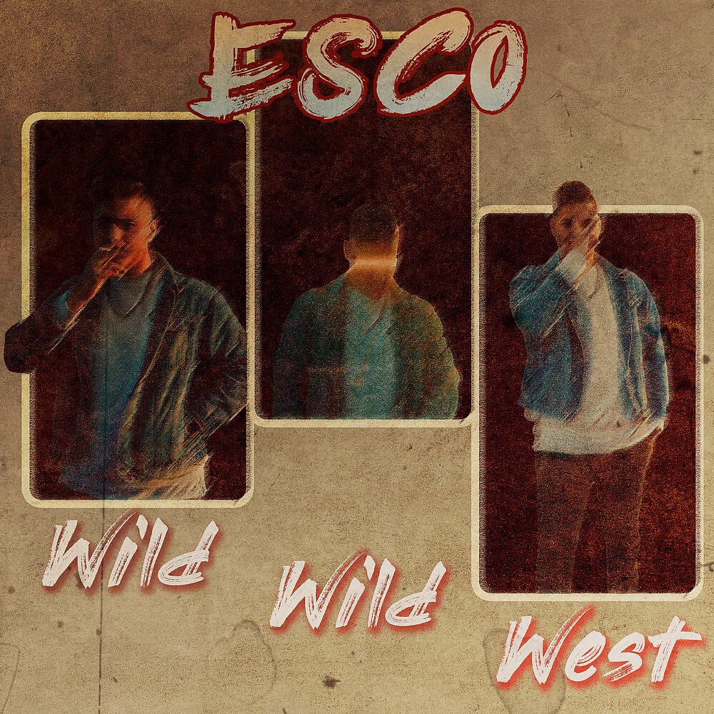 Постер альбома Wild Wild West