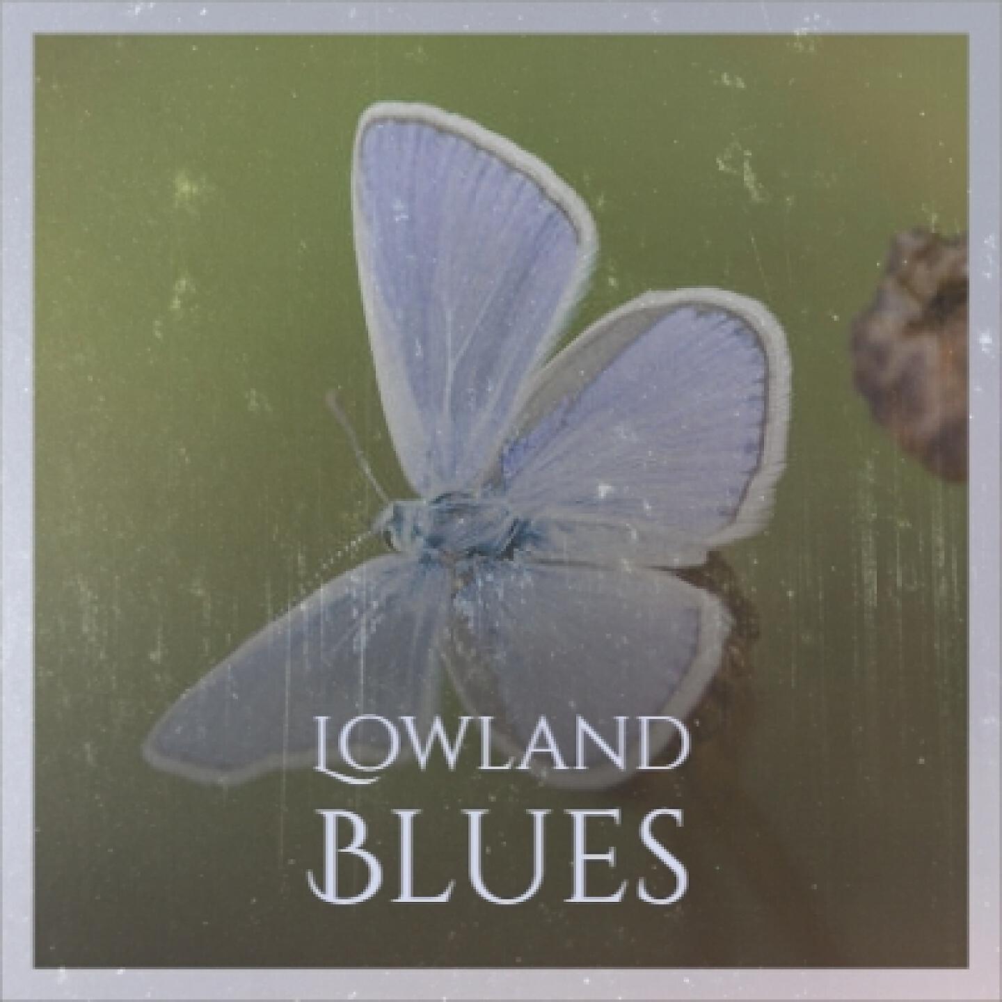 Roosevelt Sykes - Lowland Blues