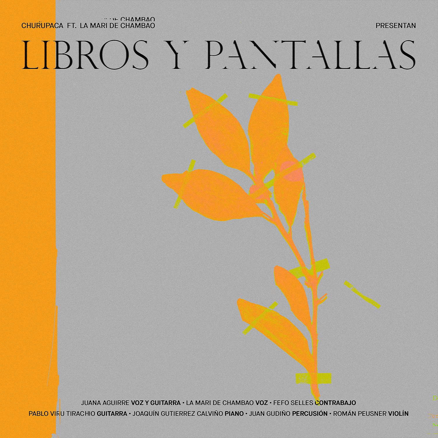 Постер альбома Libros y Pantallas (feat. La Mari de Chambao)