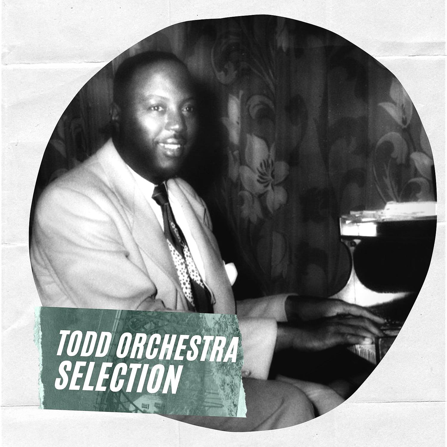 Постер альбома Todd Orchestra Selection