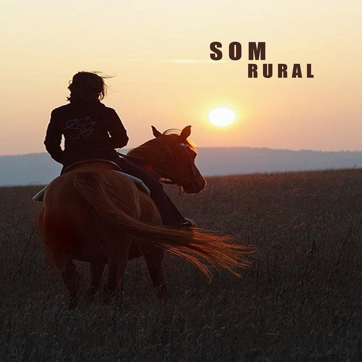 Barreto Goes - Quinze Pras Seis