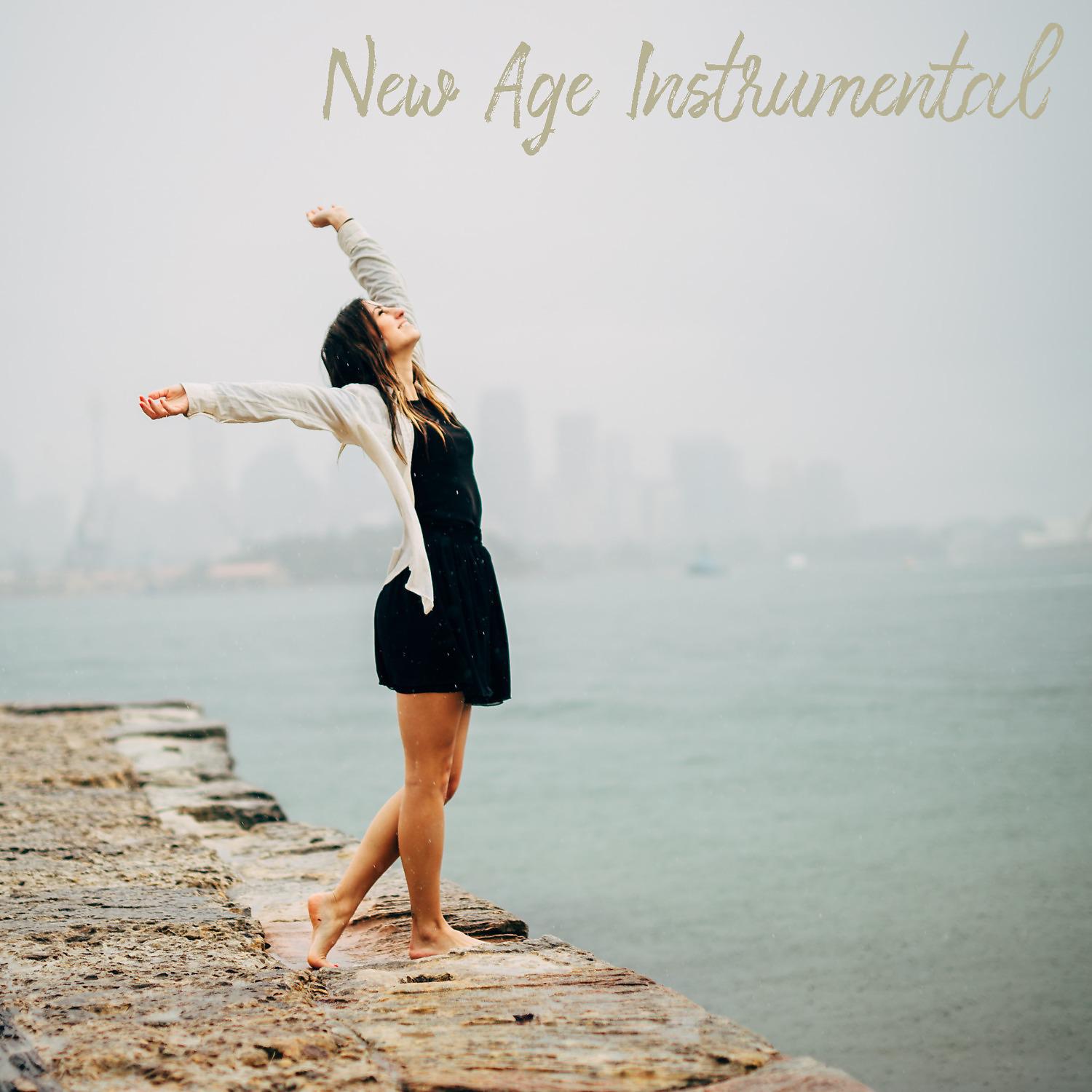 Постер альбома New Age Instrumental