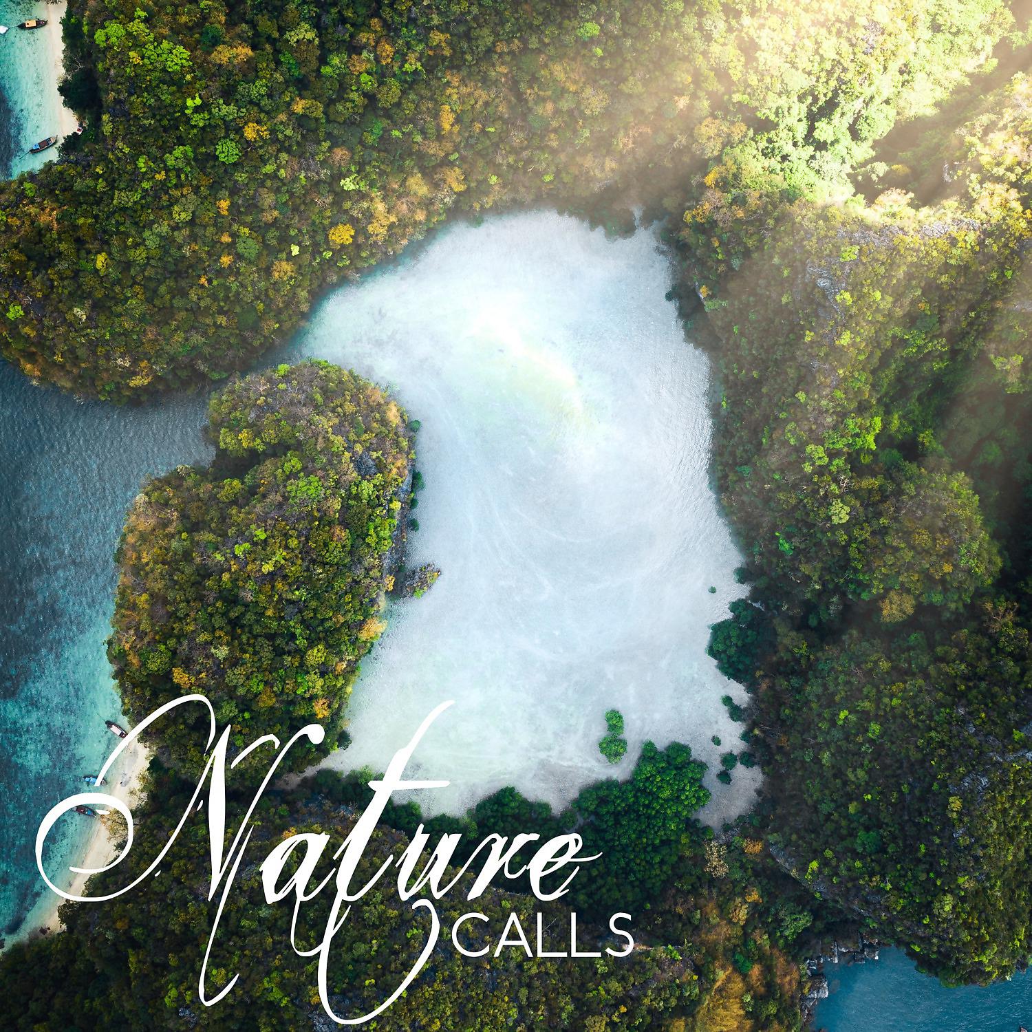 Постер альбома Nature Calls