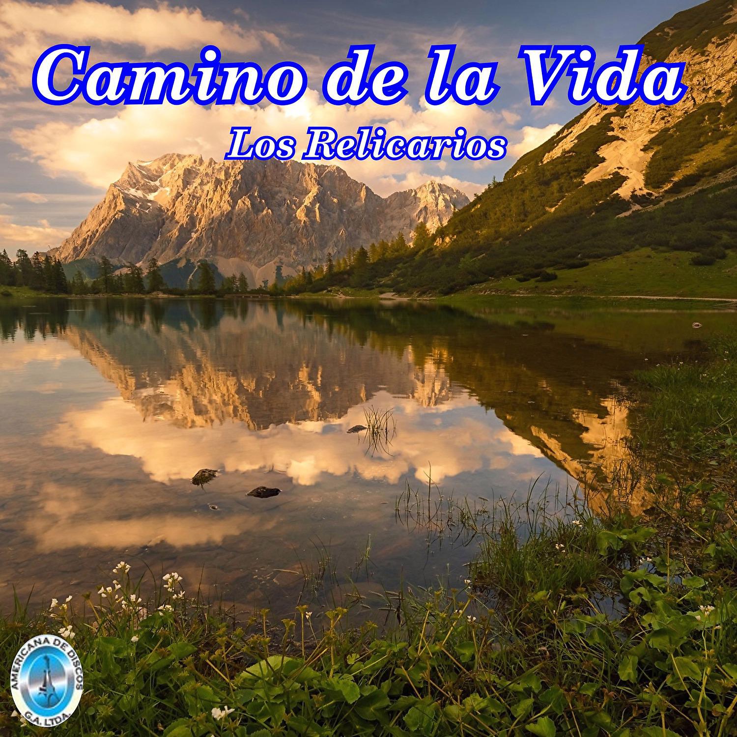 Постер альбома Camino de la Vida