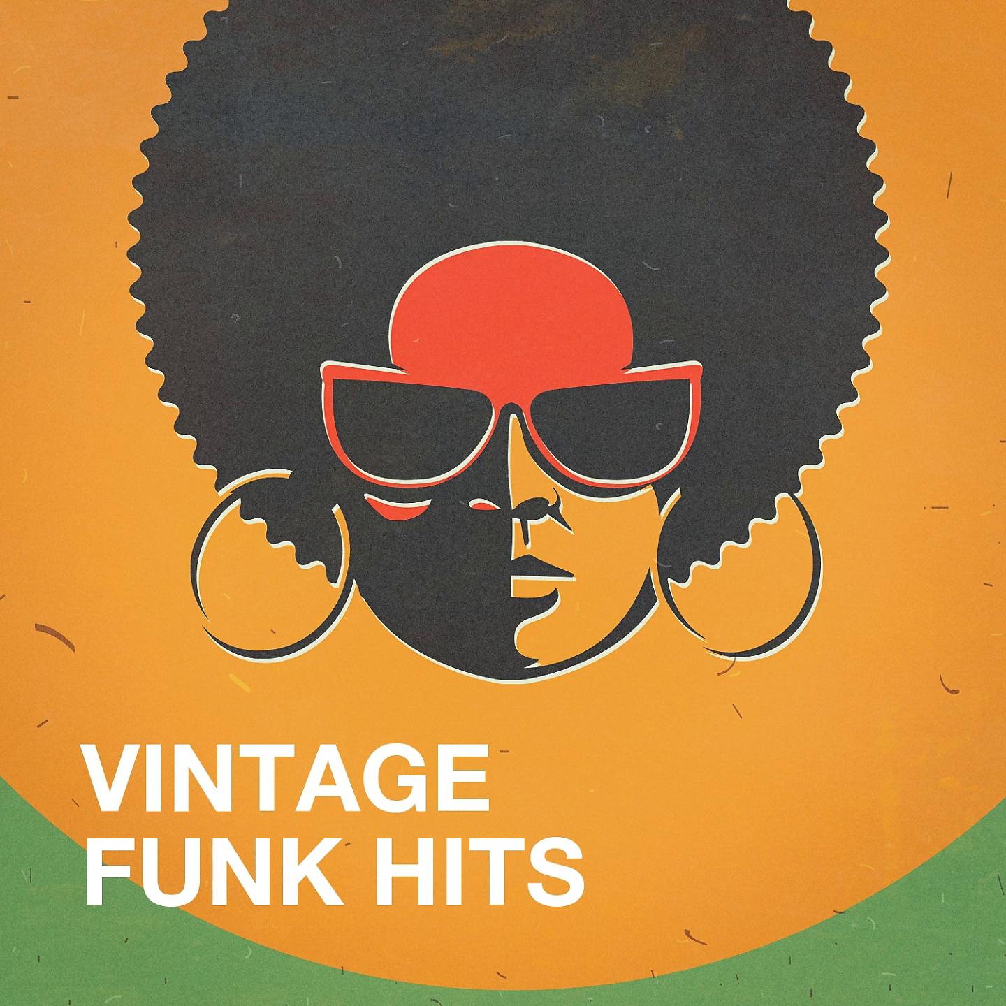 Постер альбома Vintage Funk Hits