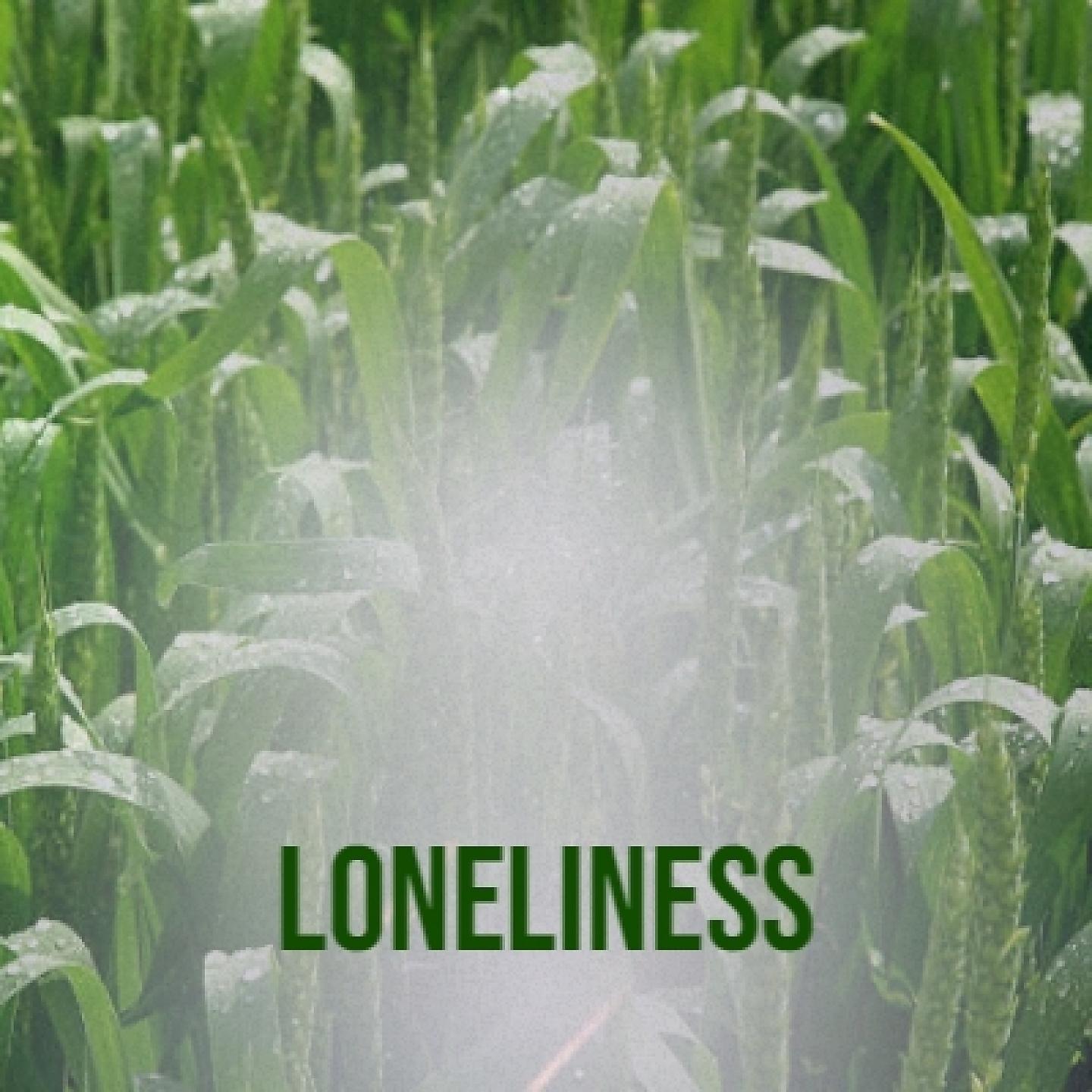 20th Century Fox Orchestra - Poland (Original Soundtrack from 'The House on Telegraph Hill')