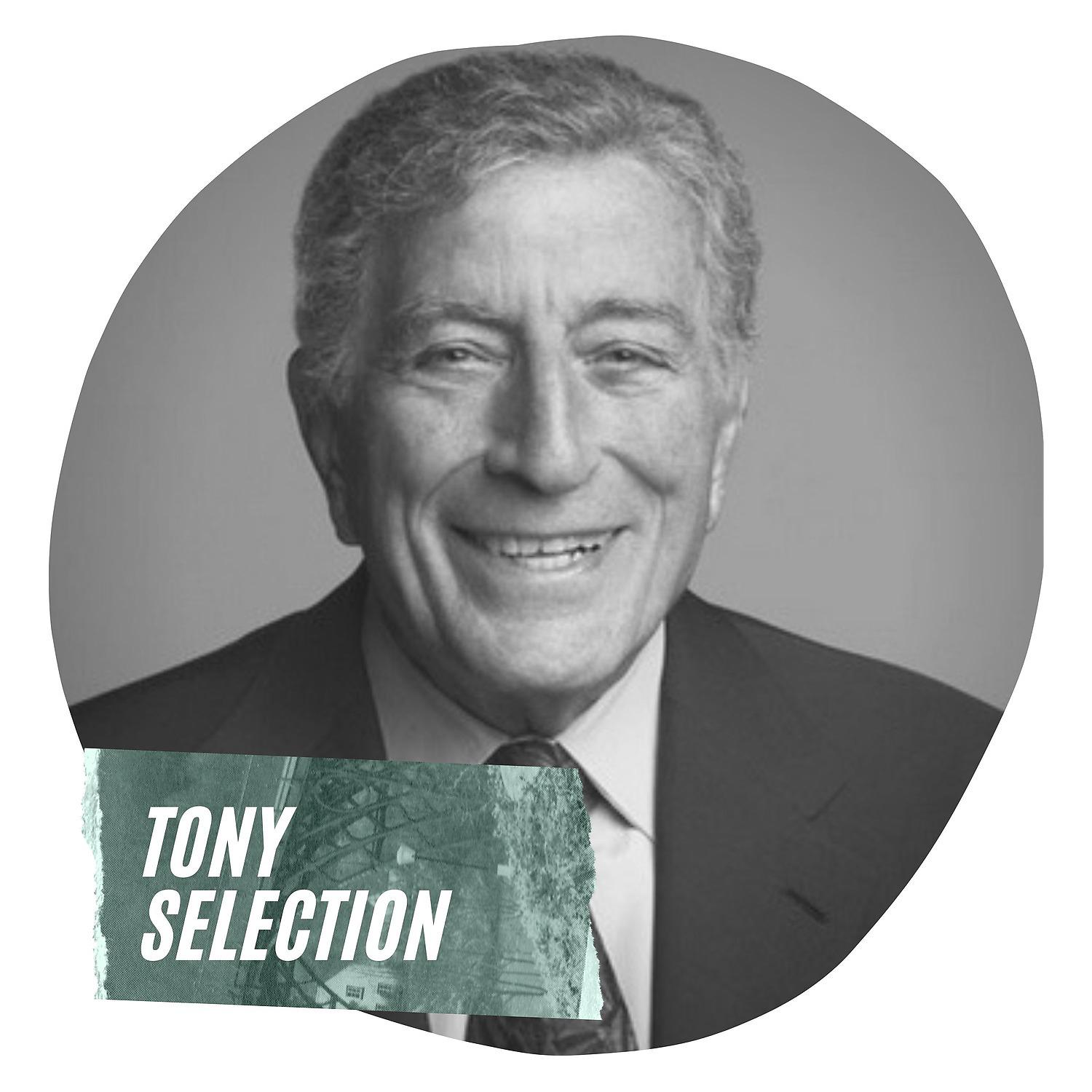 Постер альбома Tony Selection
