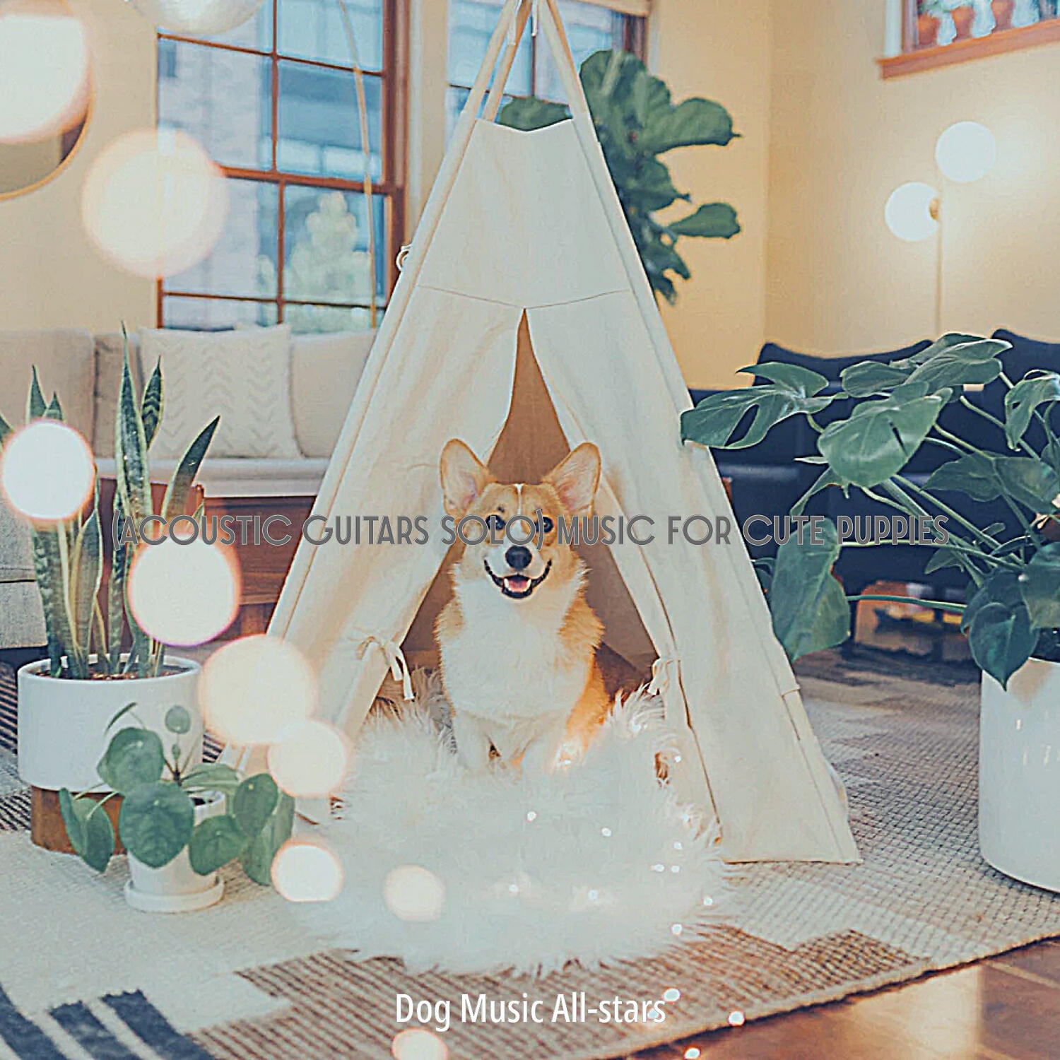 Dog Music All-stars - Easy Listening Acoustic Guitar Soundtrack for Lonely Dogs