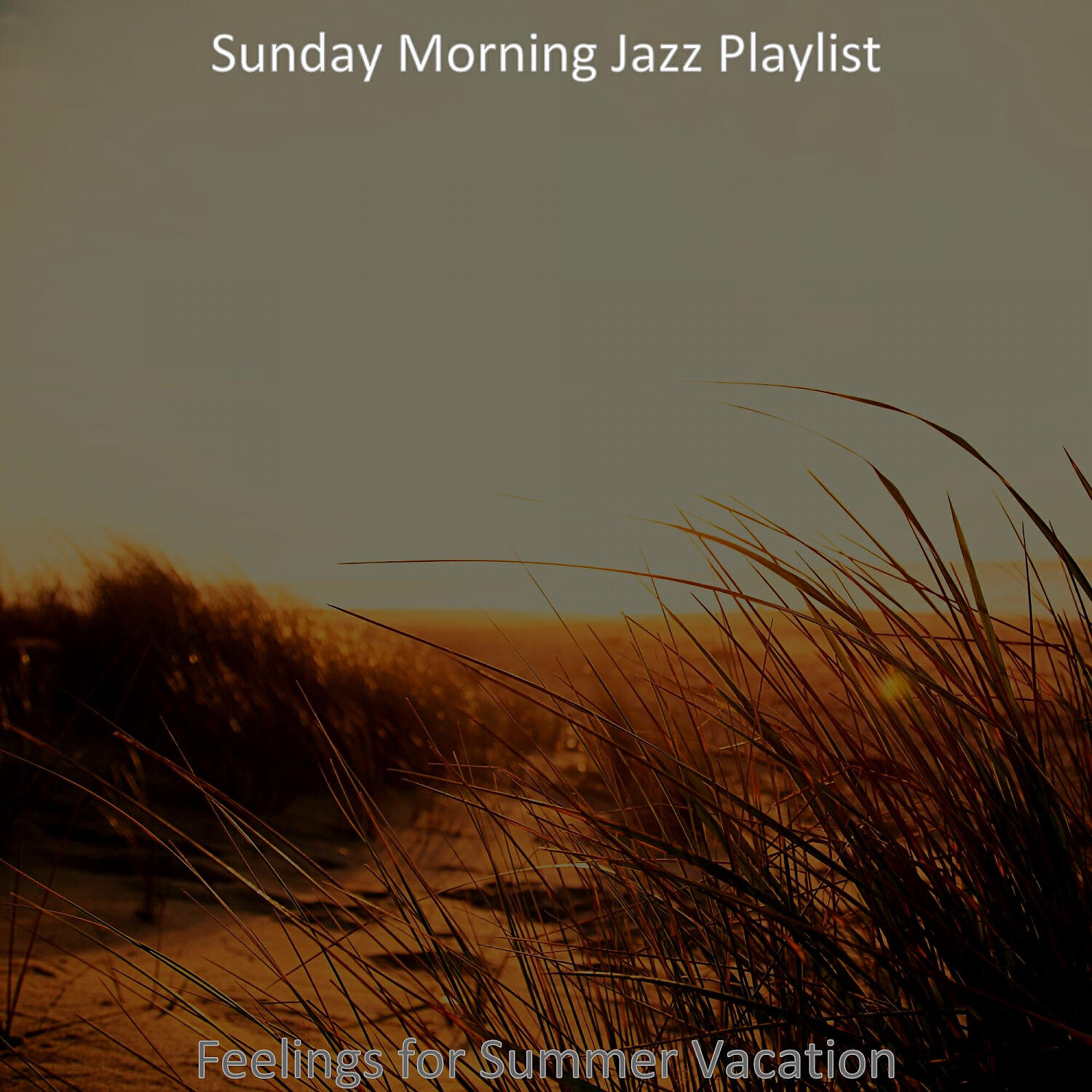 Sunday Morning Jazz Playlist - Sprightly Saxophone Bossa Nova - Vibe for Road Trips