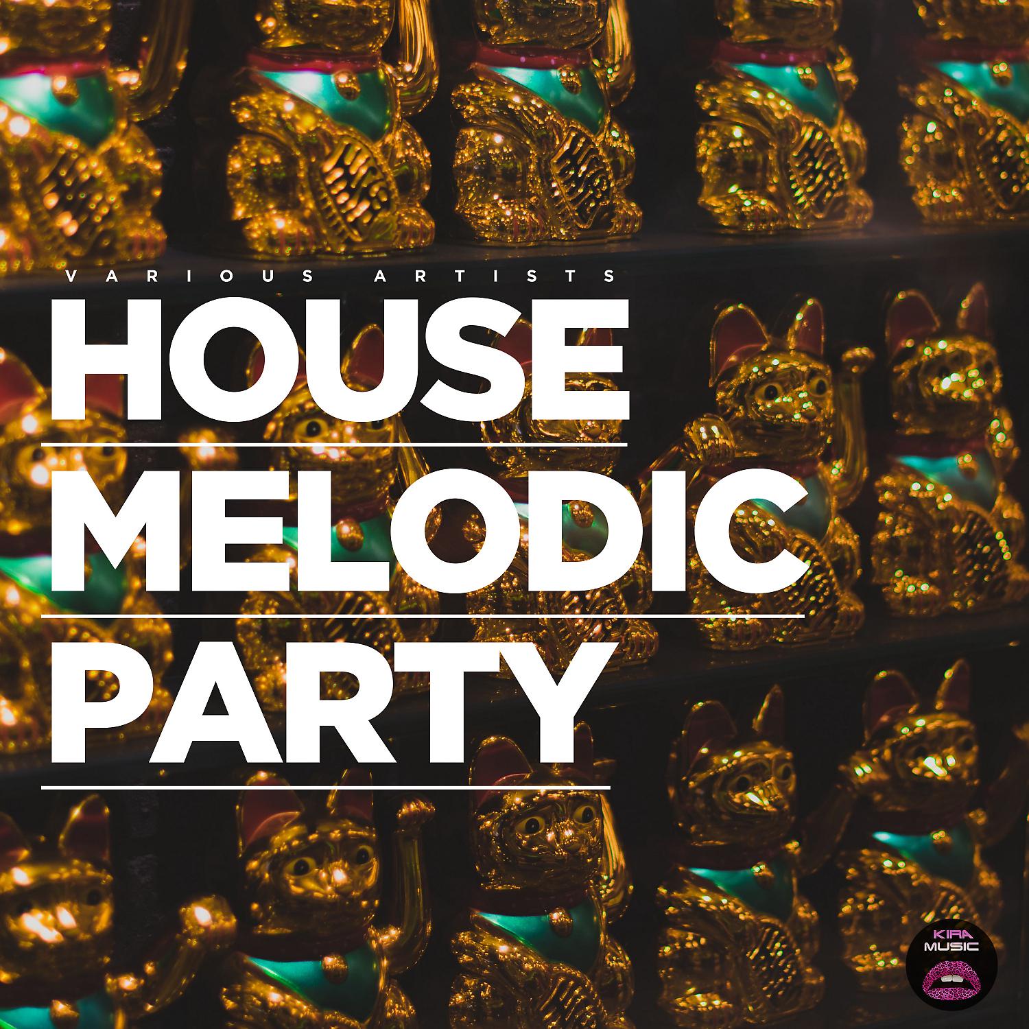 Постер альбома House Melodic Party