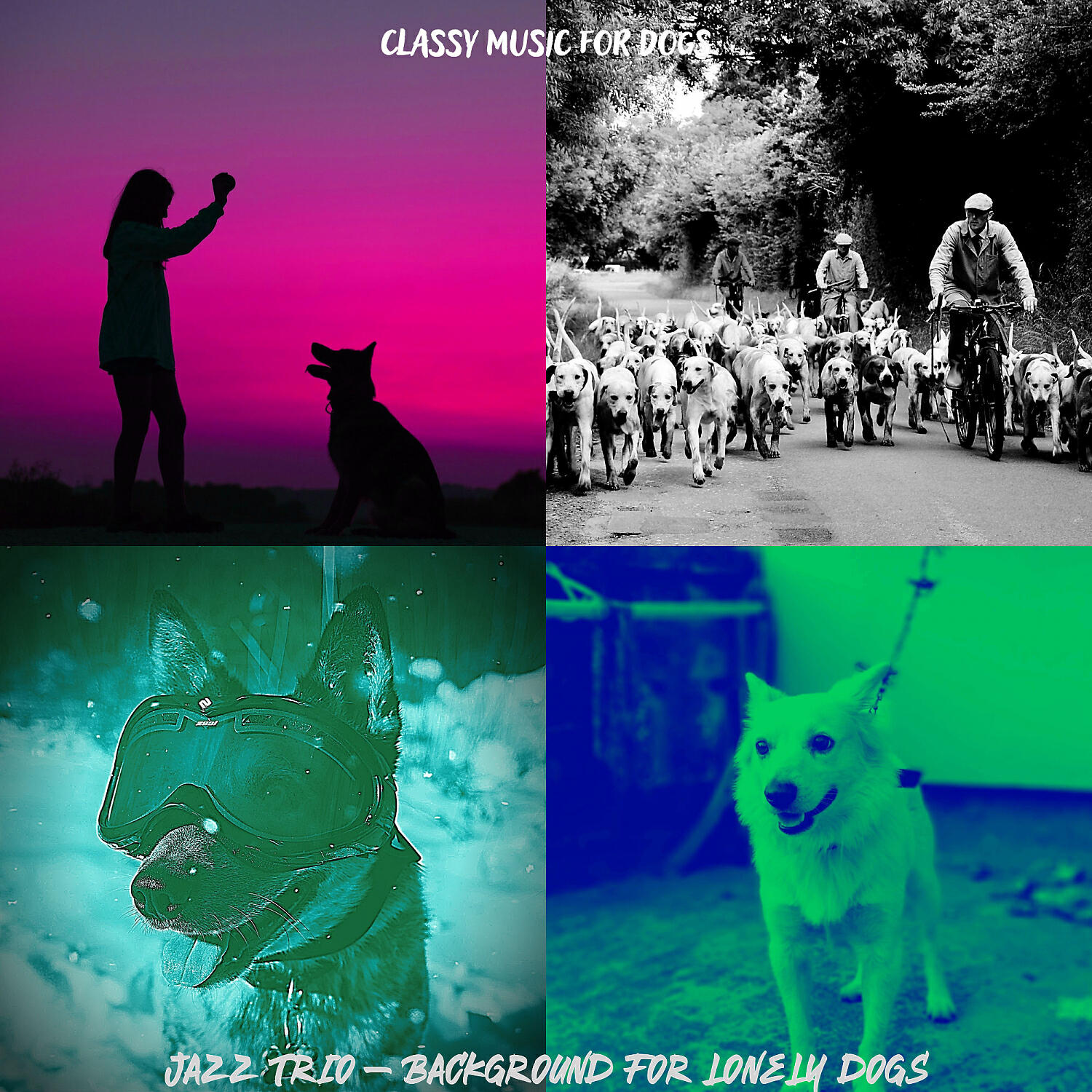 Classy Music for Dogs - Elegant Ambiance for Lonely Dogs