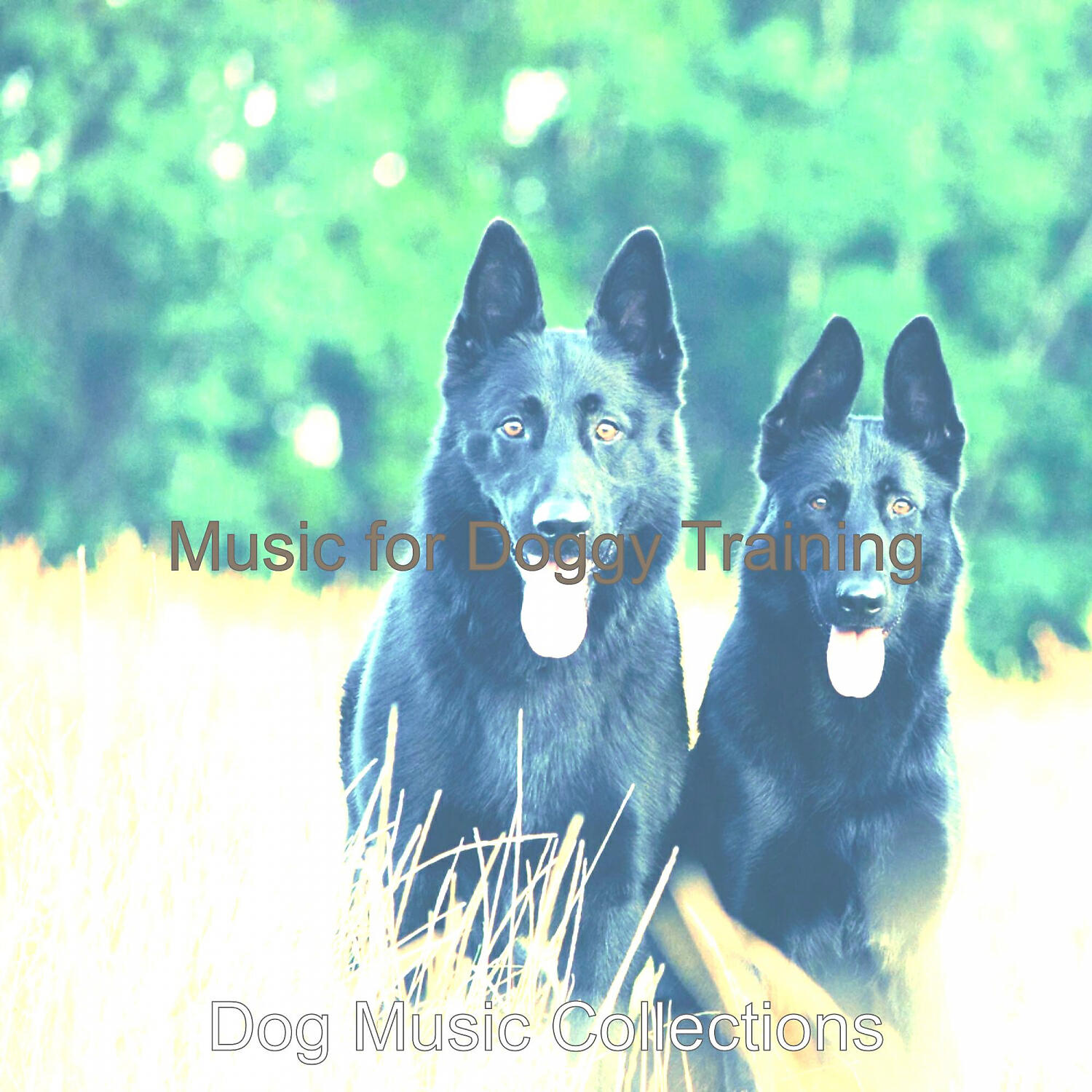 Dog Music Collections - Luxurious Solo Piano Jazz - Vibe for Reducing Dog Stress