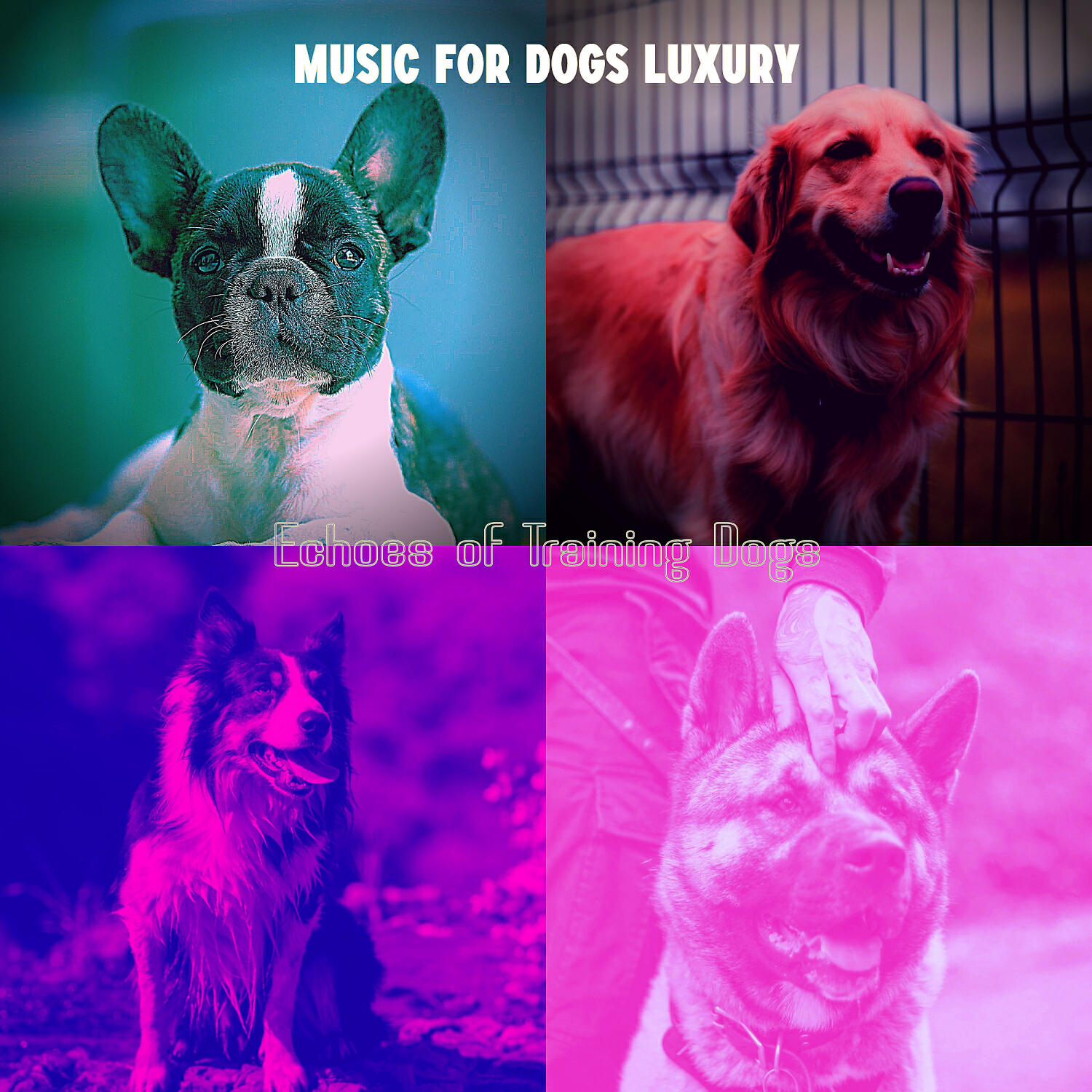 Music for Dogs Luxury - Entertaining Jazz Guitar Trio - Vibe for Sleeping Dogs