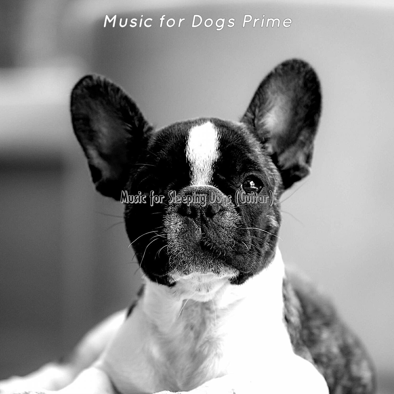 Music for Dogs Prime - Trio Jazz Soundtrack for Sleeping Dogs