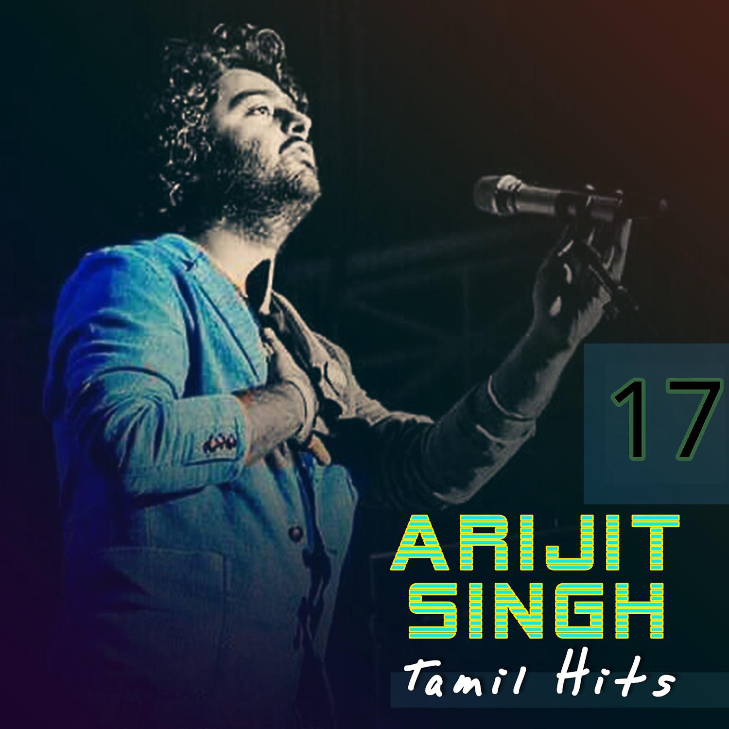 Постер альбома Tamil Hits, Vol. 17