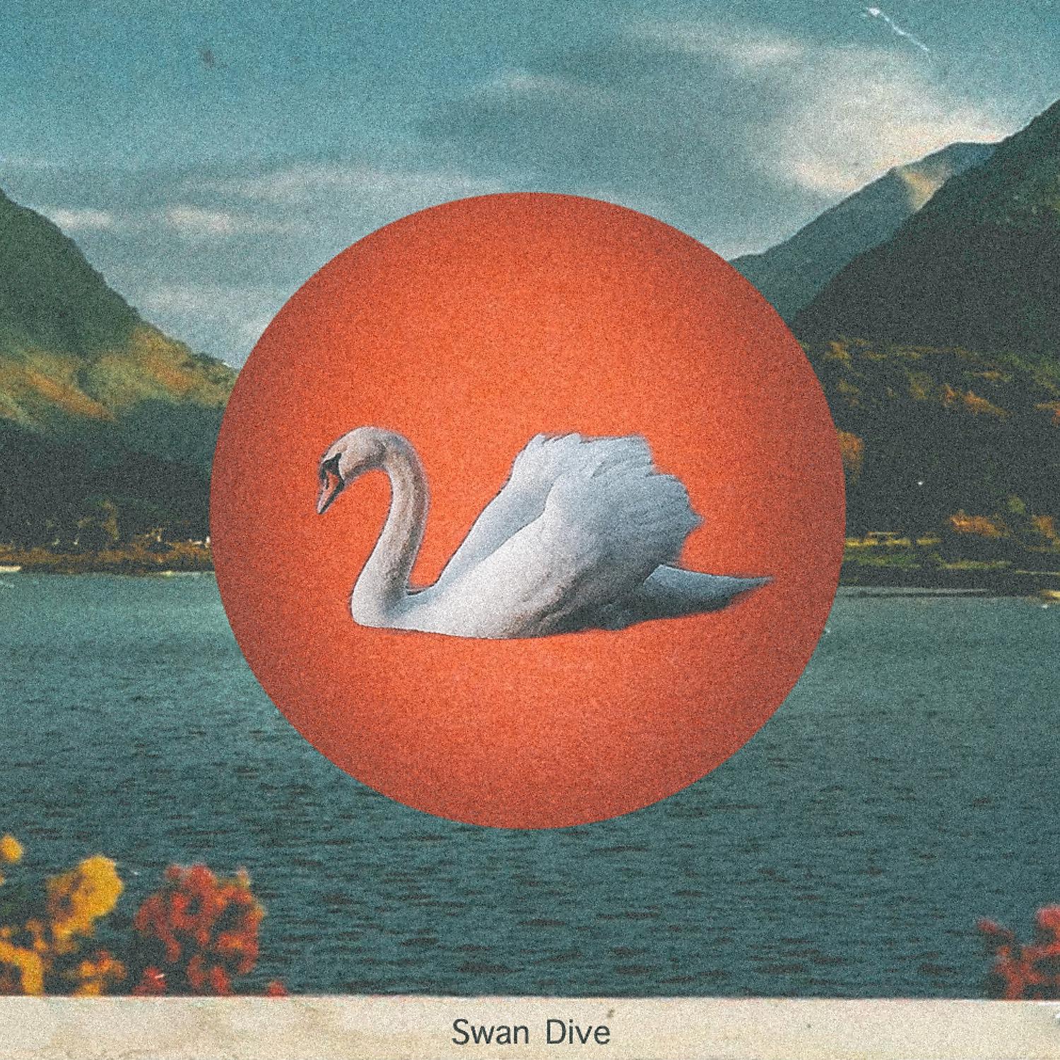 Постер альбома Swan Dive