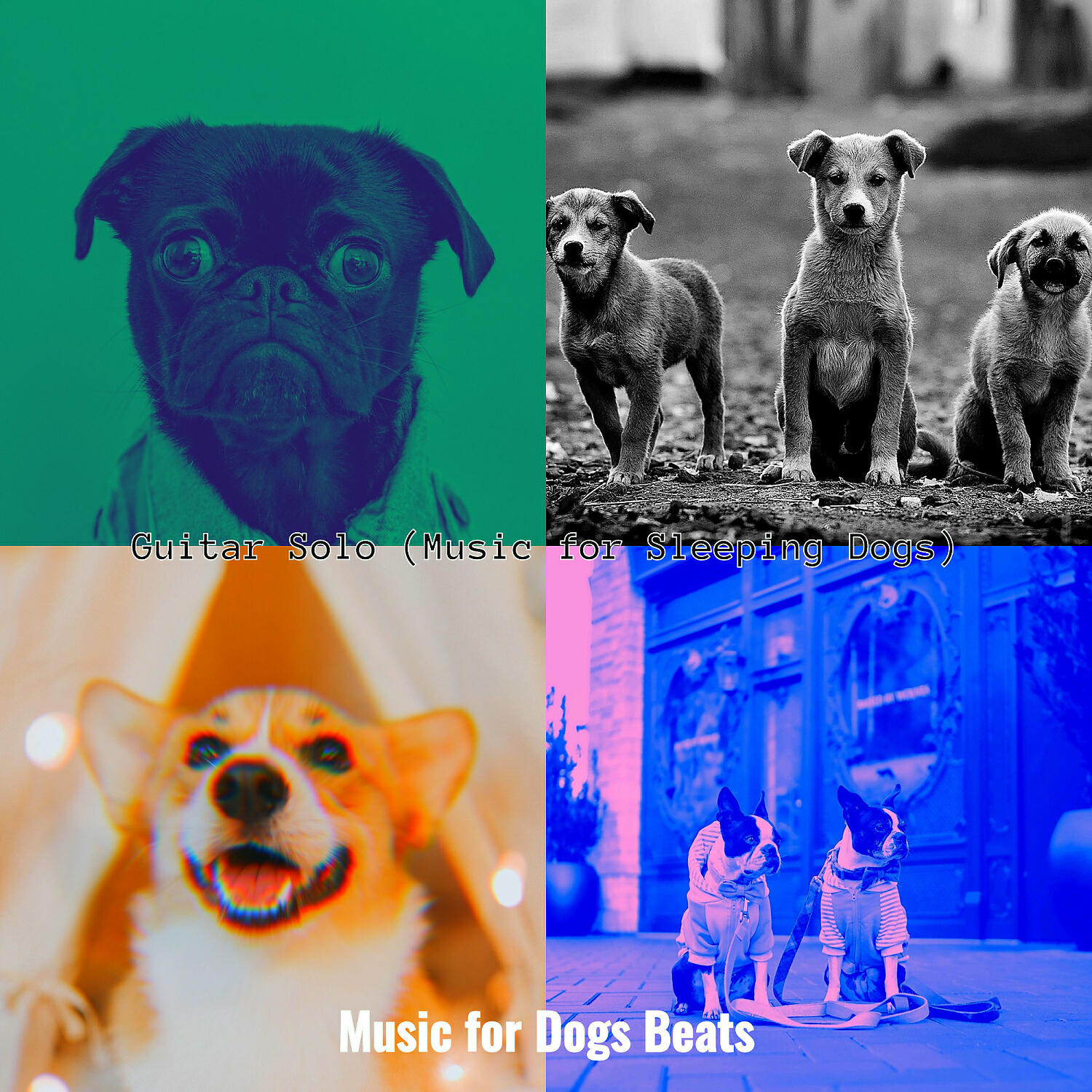 Music for Dogs Beats - Vibrant Backdrops for Sleeping Dogs