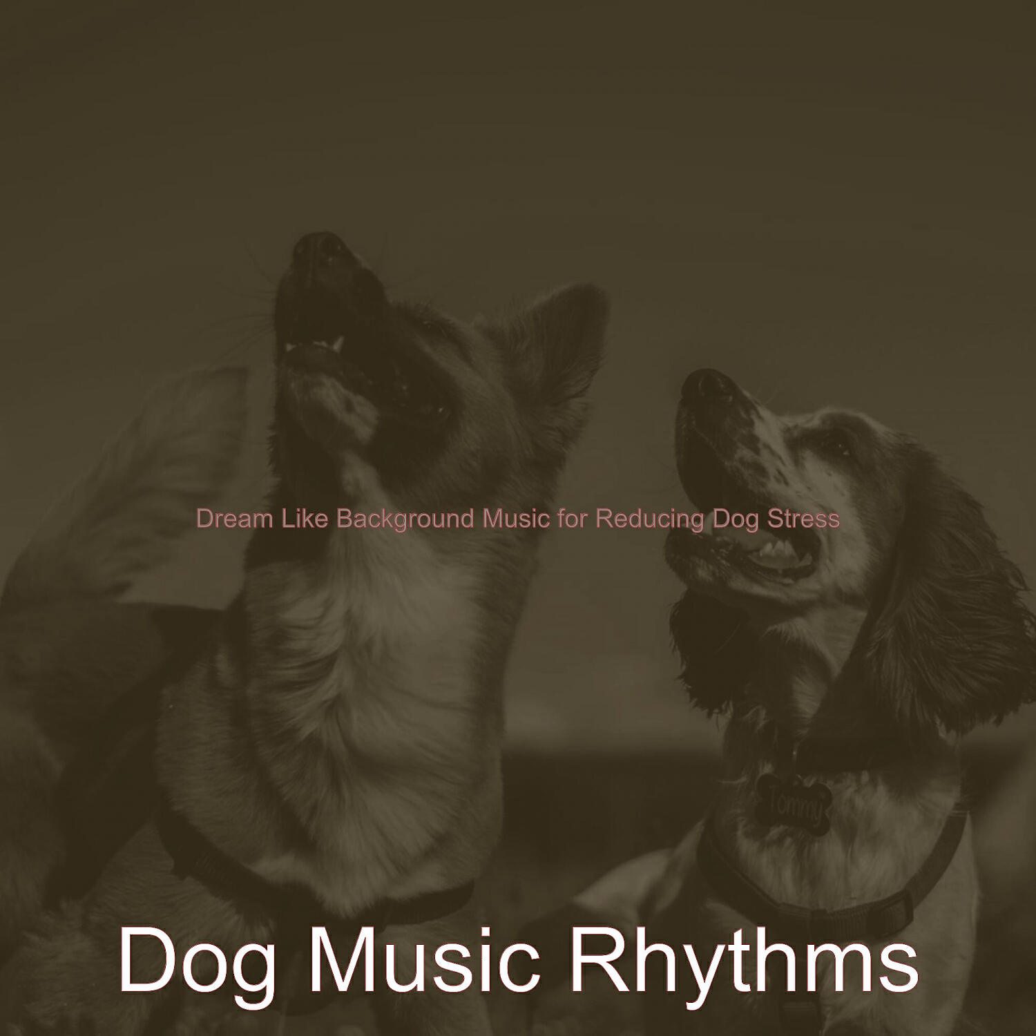 Dog Music Rhythms - High-class Solo Piano Jazz - Vibe for Cute Dogs